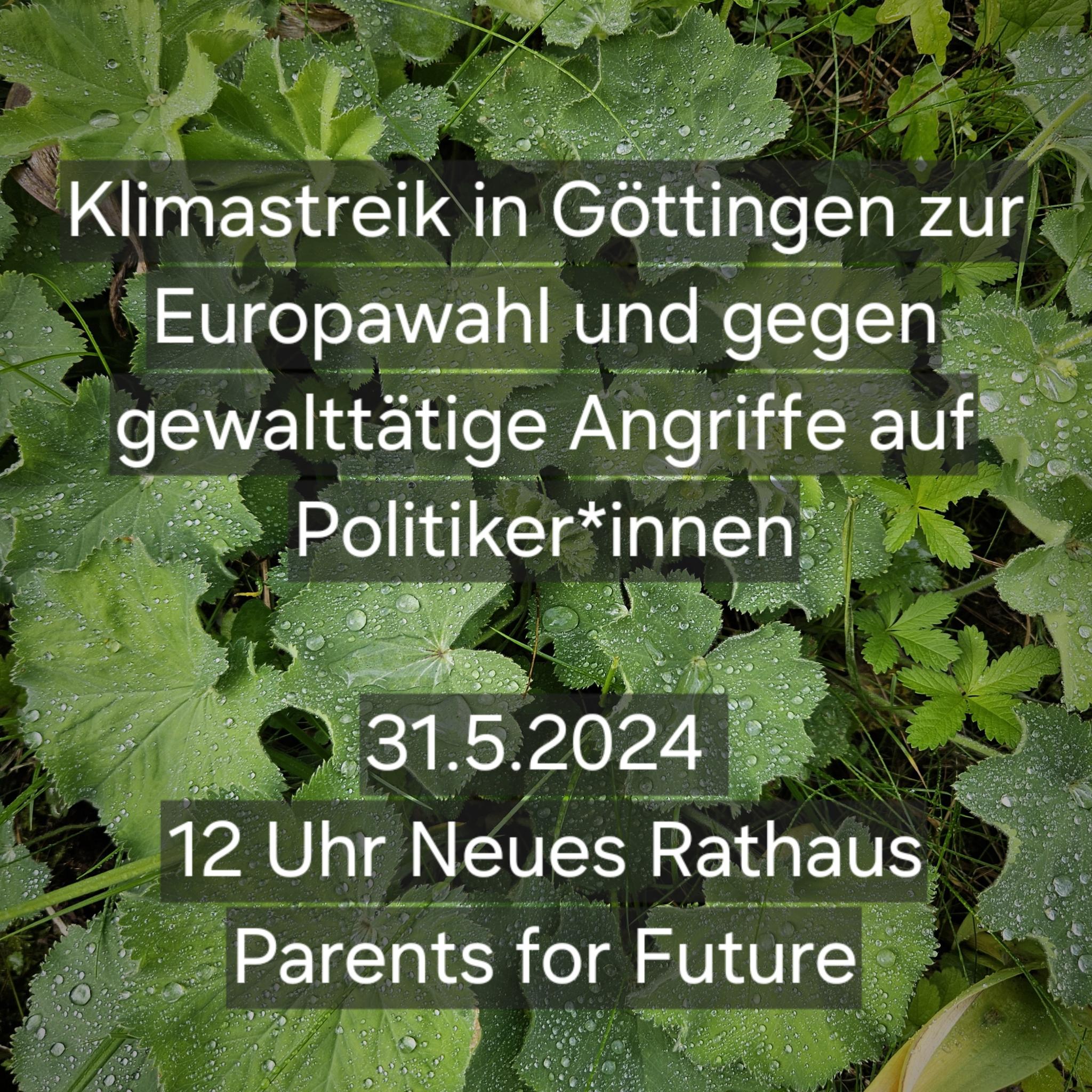 Klimastreik1